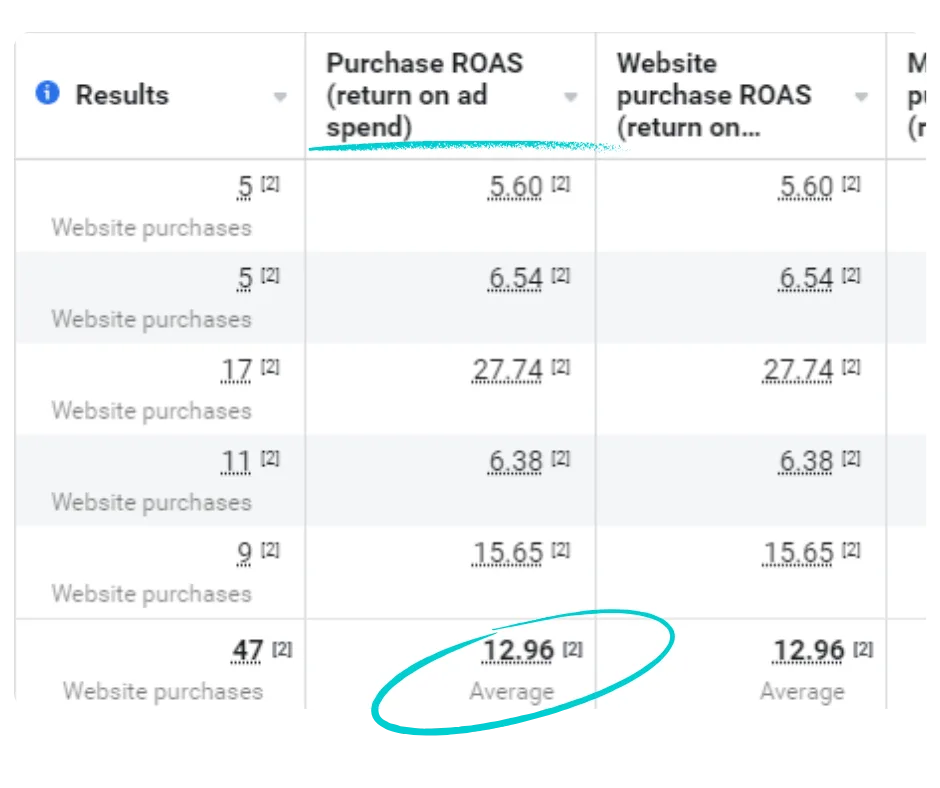 12.96x ROAS on Facebook advertising.