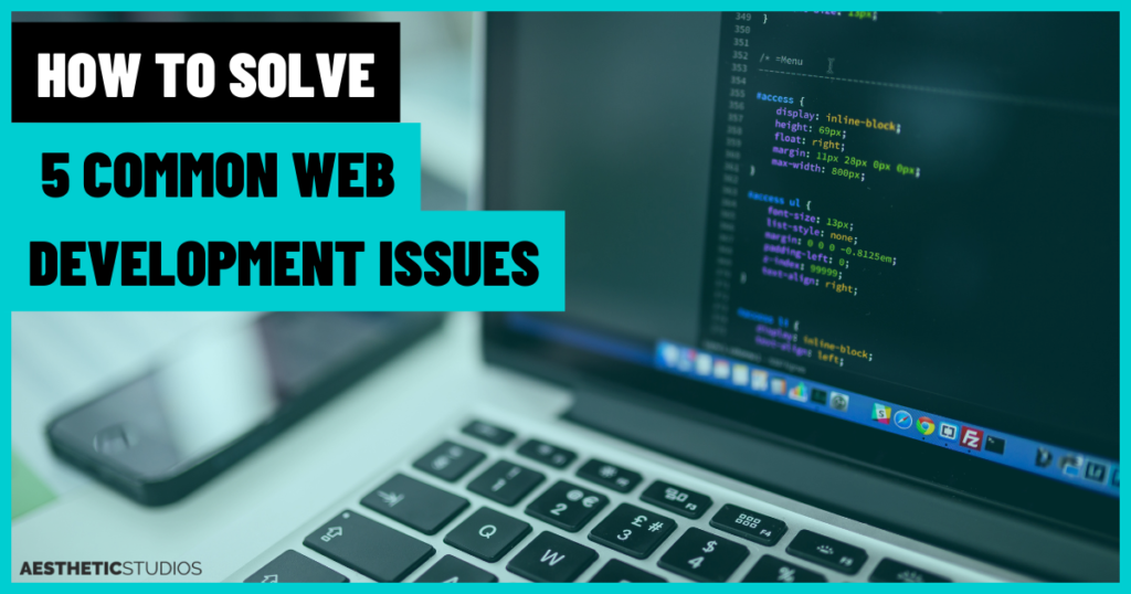 web development issues