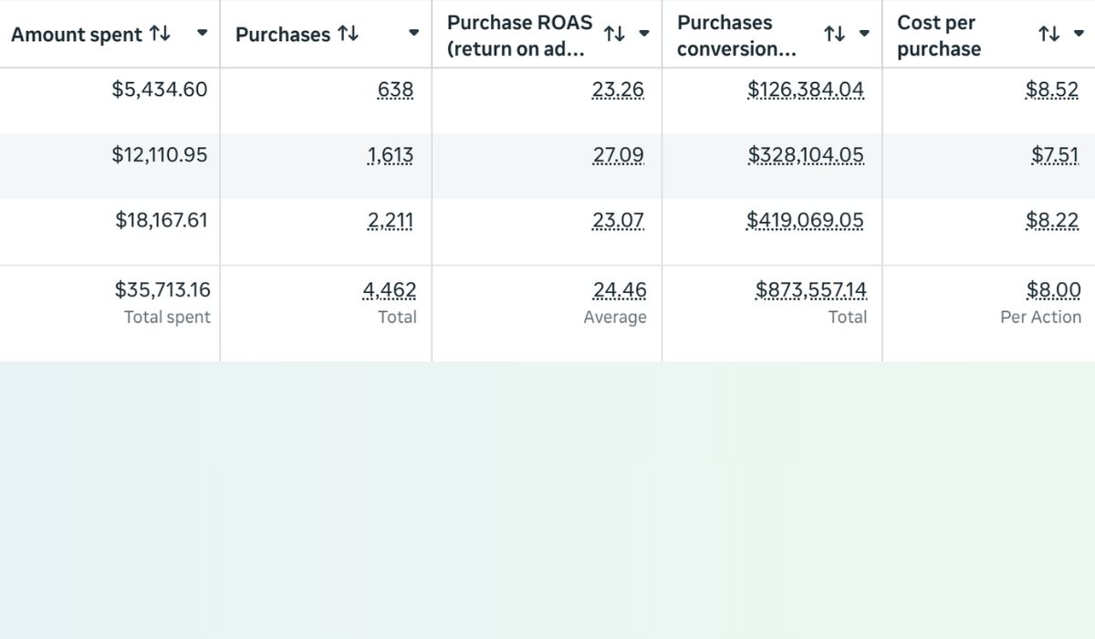 Live ecommerce Meta Ads account managed by Aesthetic showing 873 thousand dollars tracked at 24 times return on ad spend
