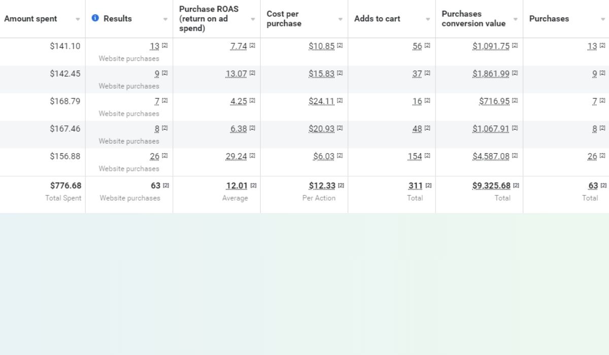 Live ecommerce Meta Ads account managed by Aesthetic showing 12 times return on ad spend on a smaller budget