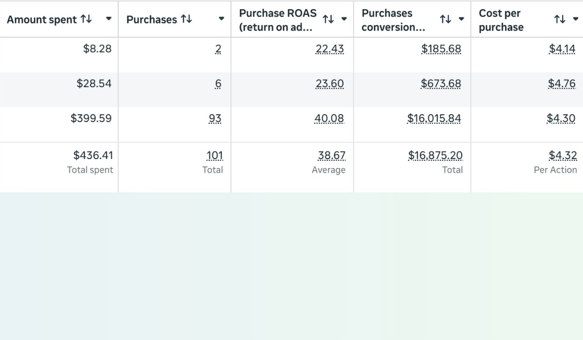 Facebook Ads Manager dashboard showing return on ad spend for a Wollongong paid advertising client