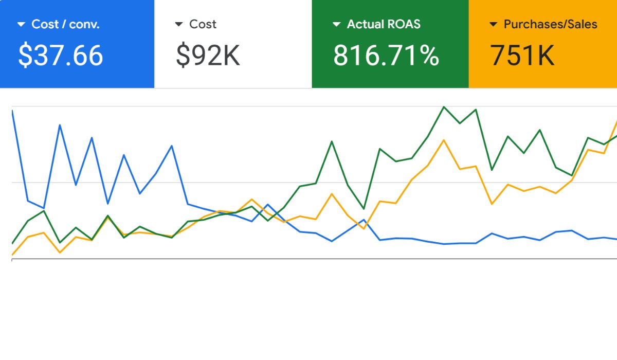 Live Google Ads account showing strong return on ad spend over twelve months