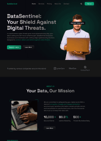 Homepage of DataSentinel, showcasing digital threat protection services with a laptop and modern design elements.